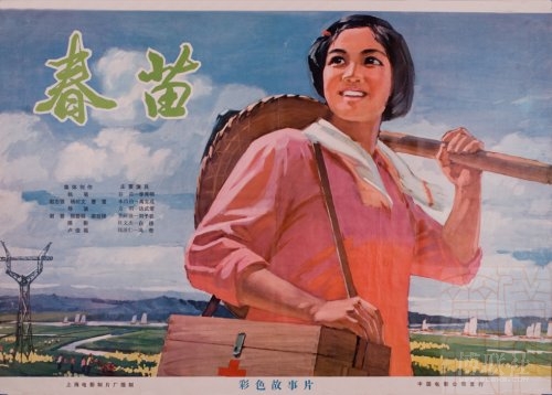 假驾照价钱